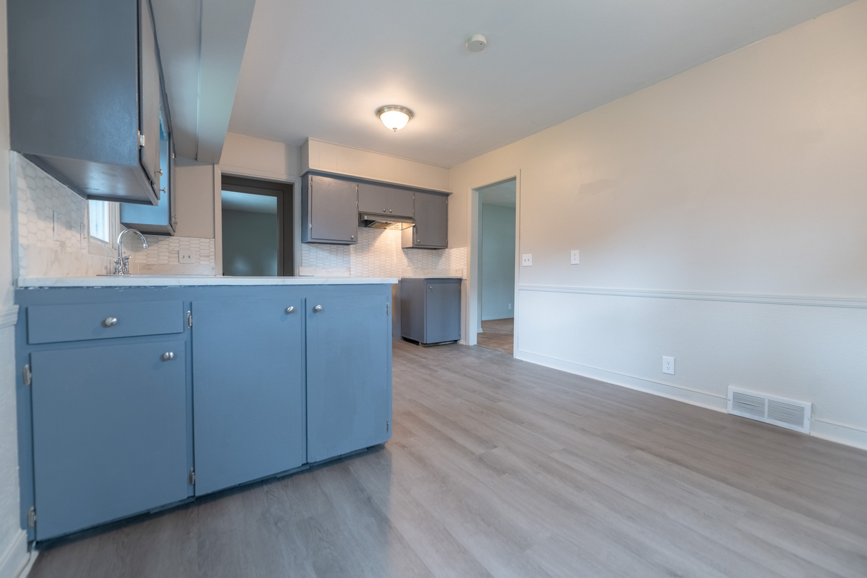 Modern Kitchen Renovation