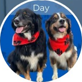 H&H Renovations Logo